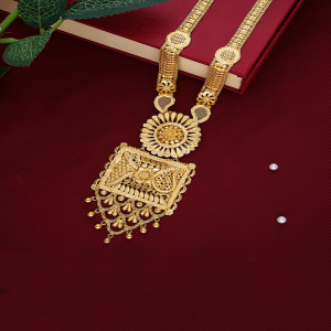 Anantika Long Gold Necklace-1060010986960AA S30