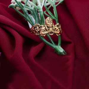 Divine Fury Men Ring-1060009025601AA S284