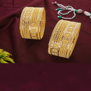 Great Indian Bangles-1060008998821AA S372