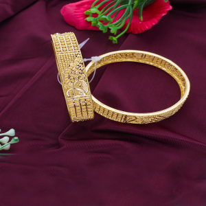 Ethinic Orchestra Hollow Bangles-1060009058319AA S23