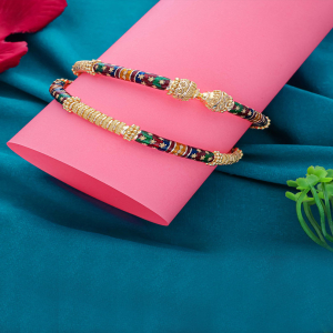 Fashionable Manipuri Minakari Bangles-1060009058159AA S23