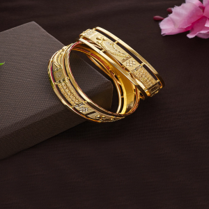 Divine Circle Bangles-1060010907248AA S298
