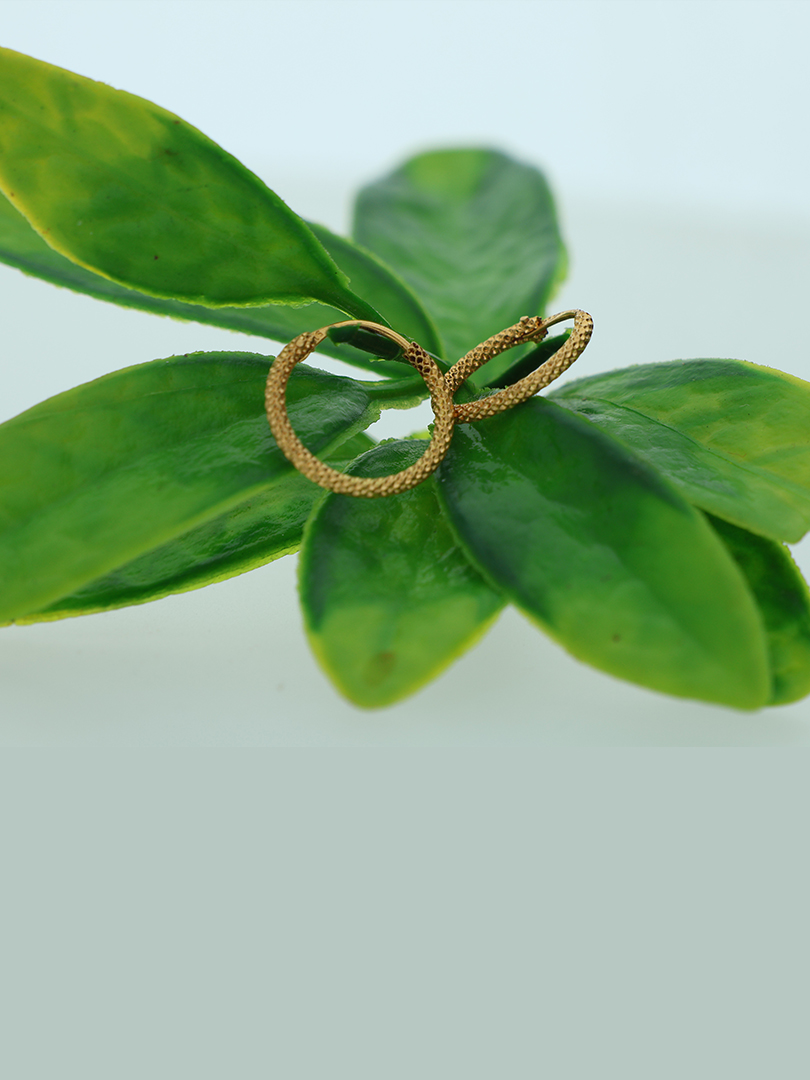 Chic-Circles Bali Earing